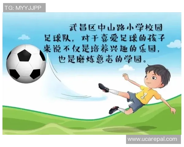 日本足球明星的成长历程与成就分享书籍推荐