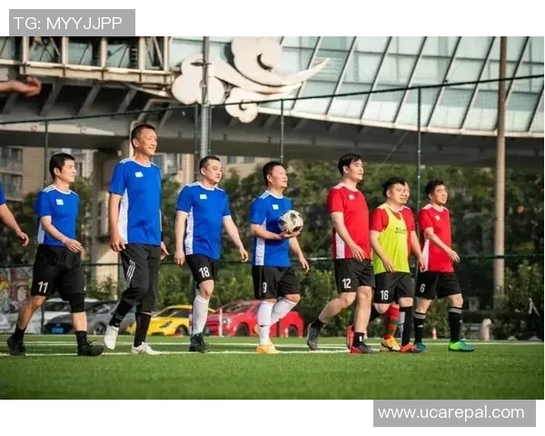 大连足球明星的奋斗历程与荣耀时刻展现了他们的激情与梦想